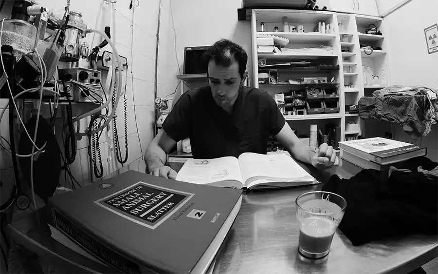 Centro Veterinario Madrid Exóticos quiénes somos